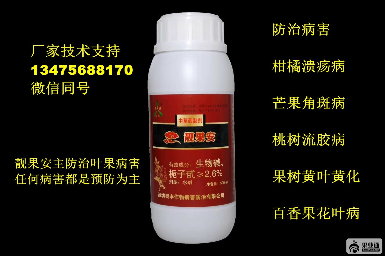 靓果安8.jpg