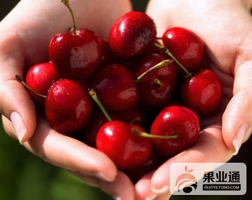 u=3562864900,4057884072&amp;fm=27&amp;gp=0.jpg