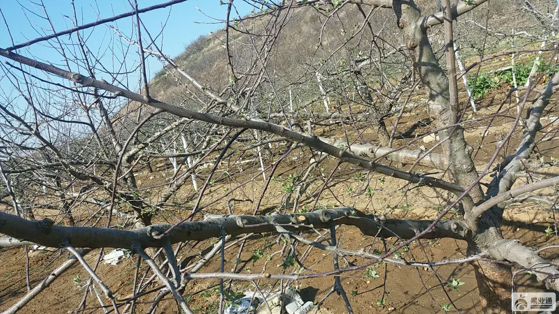 微信图片_20180417084209.jpg