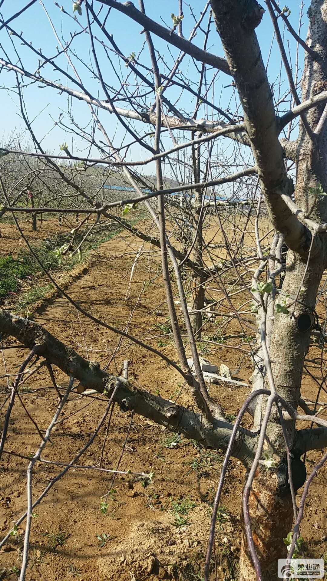 微信图片_20180417084225.jpg