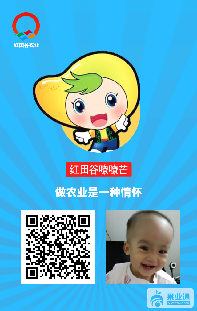 红田谷农业商城.png