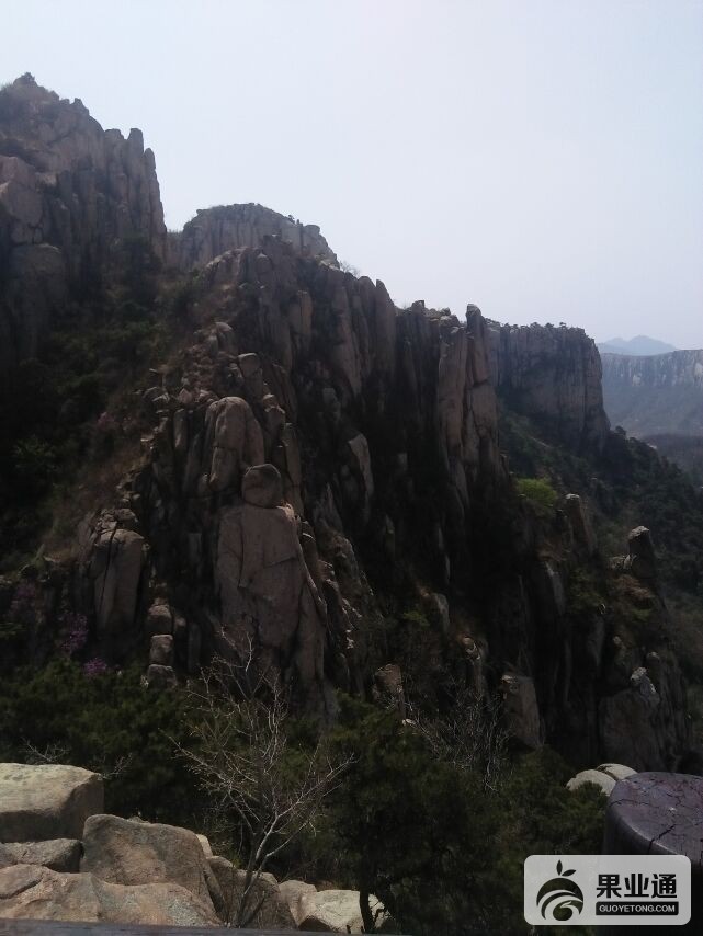 QQ图片20180421185643.jpg