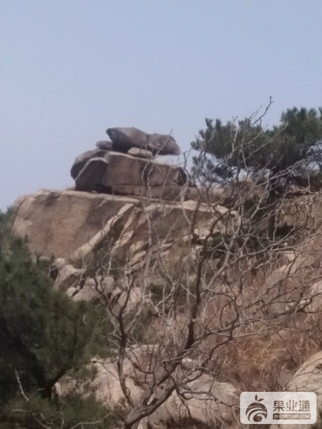 QQ图片20180421185708.jpg
