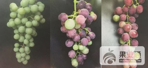 微信图片_20180423142801.jpg