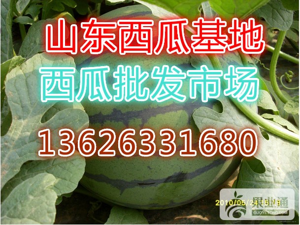 CgQCr1OOsf2AD9W-AAZpeQft_2A66400_meitu_1.jpg
