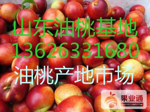u=3980921065,4150579543&amp;fm=27&amp;gp=0_meitu_1.jpg