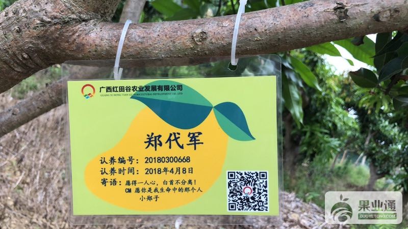 果树挂牌2.JPG