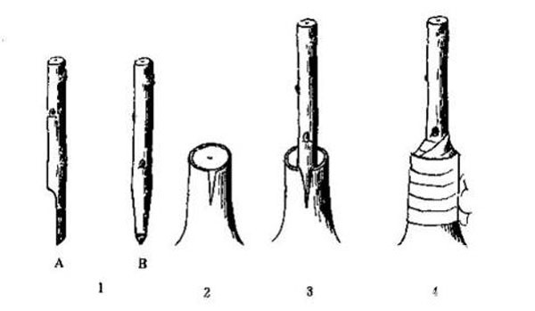 u=188503931,3825791047&amp;fm=27&amp;gp=0.jpg