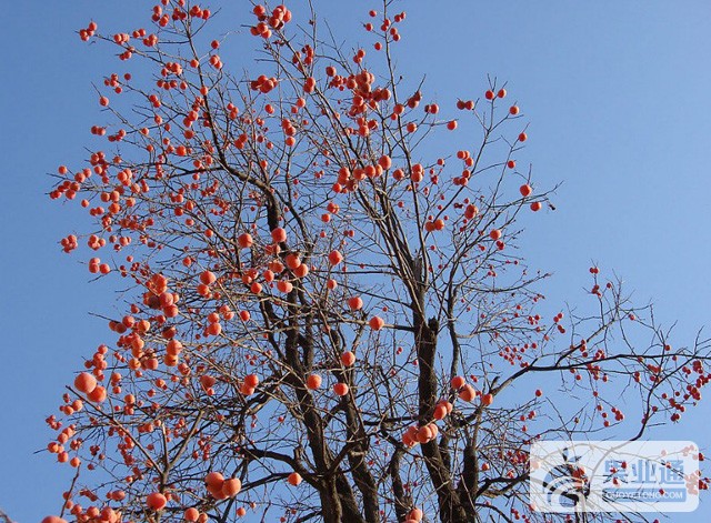 20131218105504338.jpg