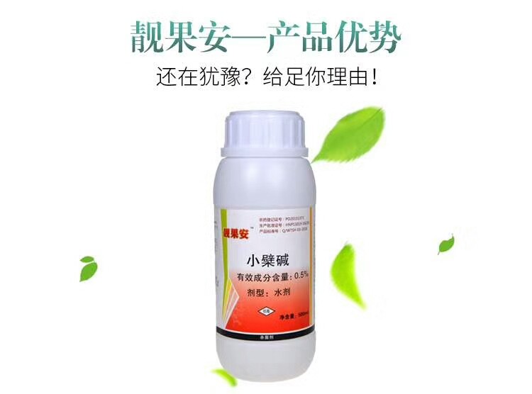 靓果安P图.jpg