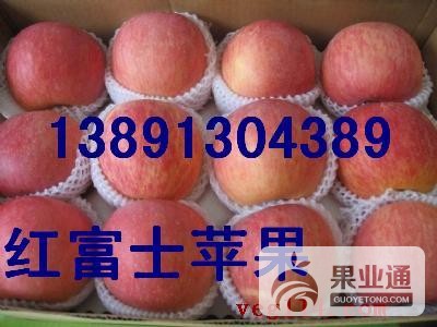 苹果-红富士苹果纸袋箱装.jpg