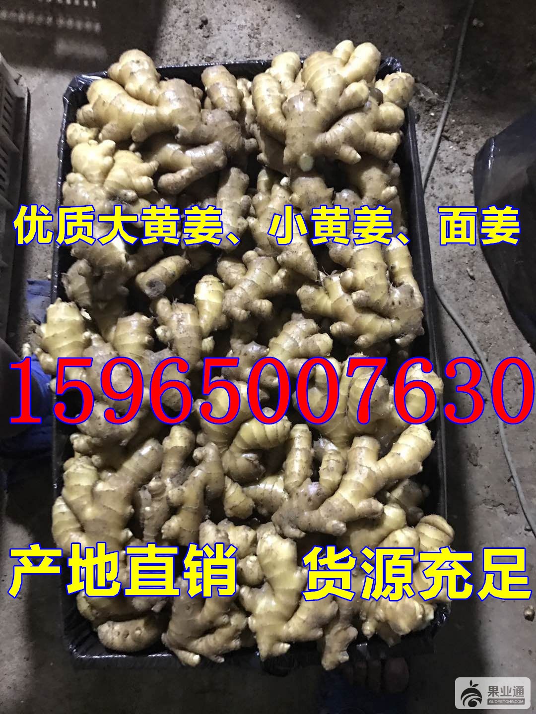 haoq_副本.jpg