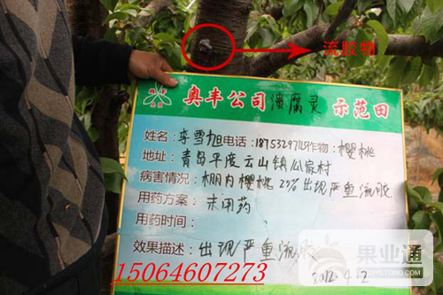 图片3_副本_副本.png