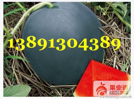 西瓜-黑无籽西瓜b4ba404e6.JPG
