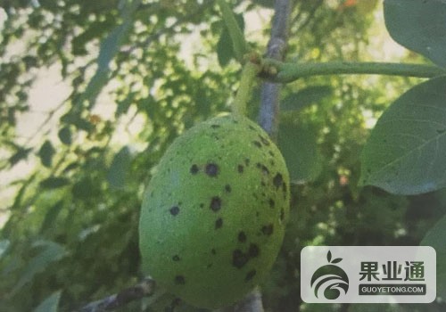 微信图片_20180607091425.jpg