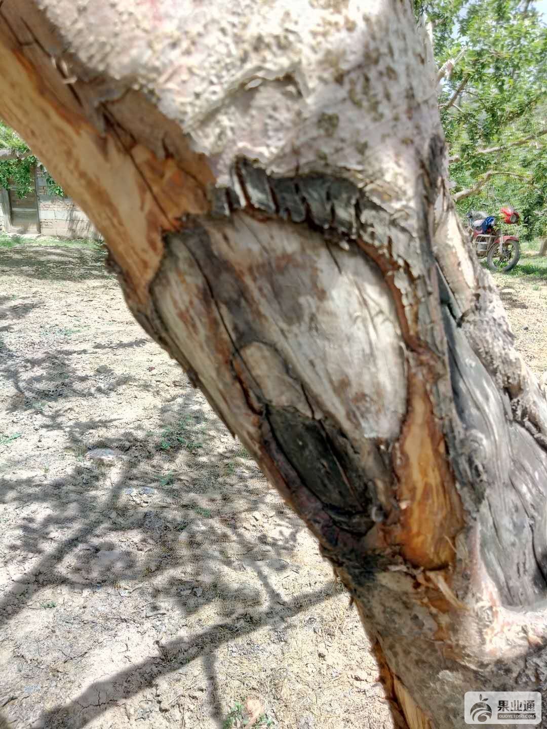 微信图片_20180611140259.jpg