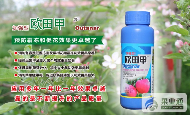 SaGA4A28alO0aZ2A86L832iUHG8aIu.jpg