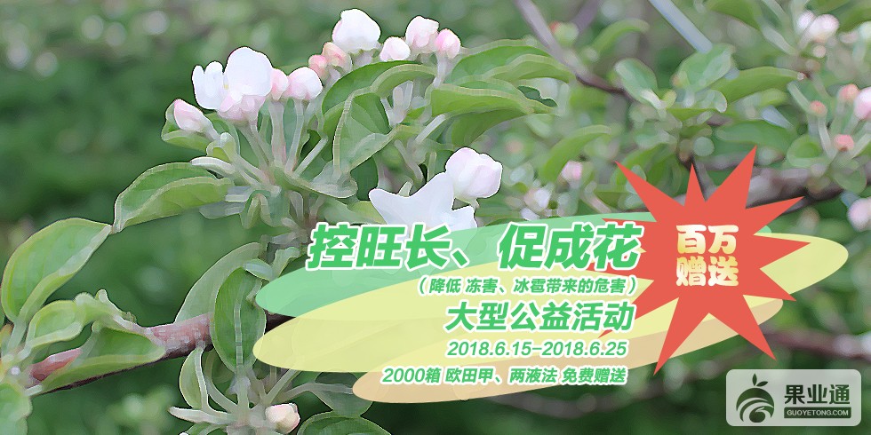 控旺长、促成花.jpg