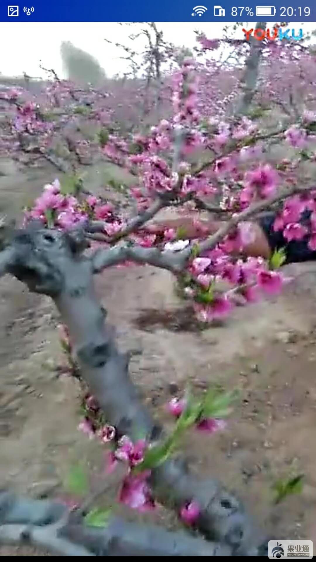 微信图片_20180630202652.jpg