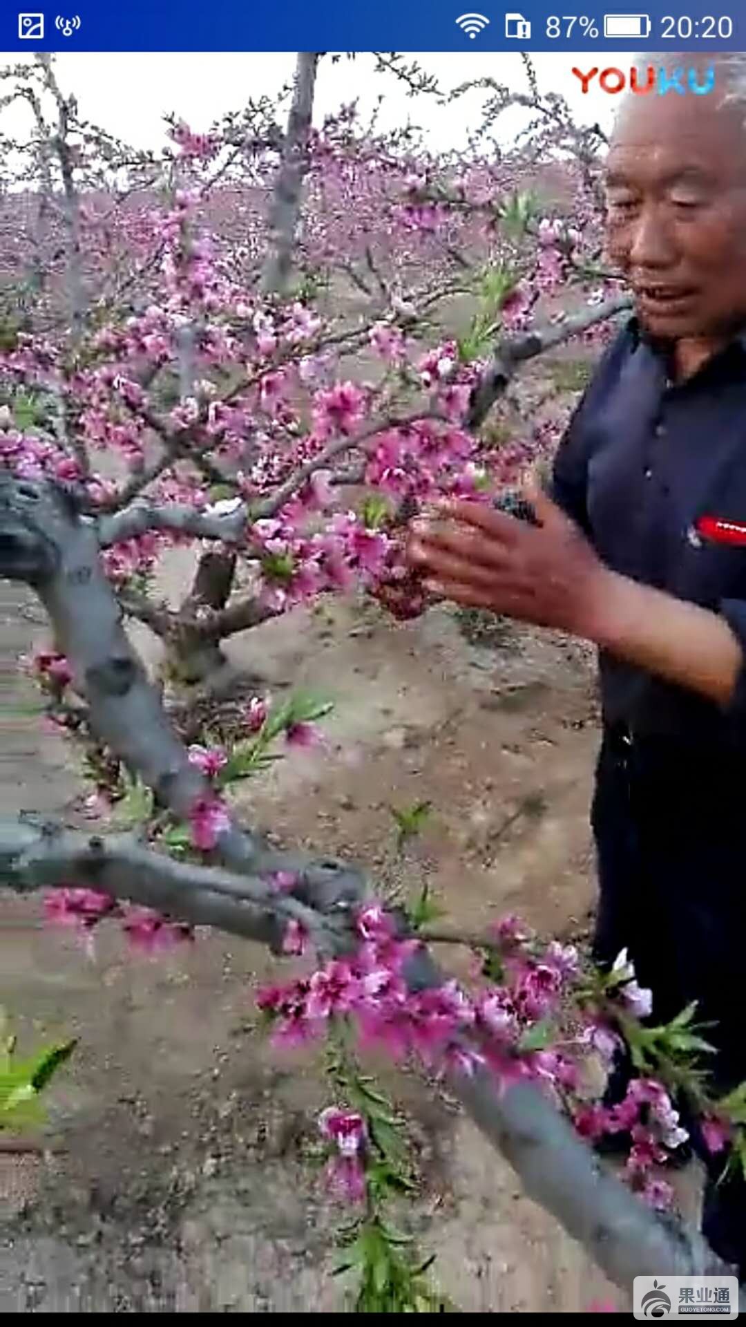 微信图片_20180630202657.jpg