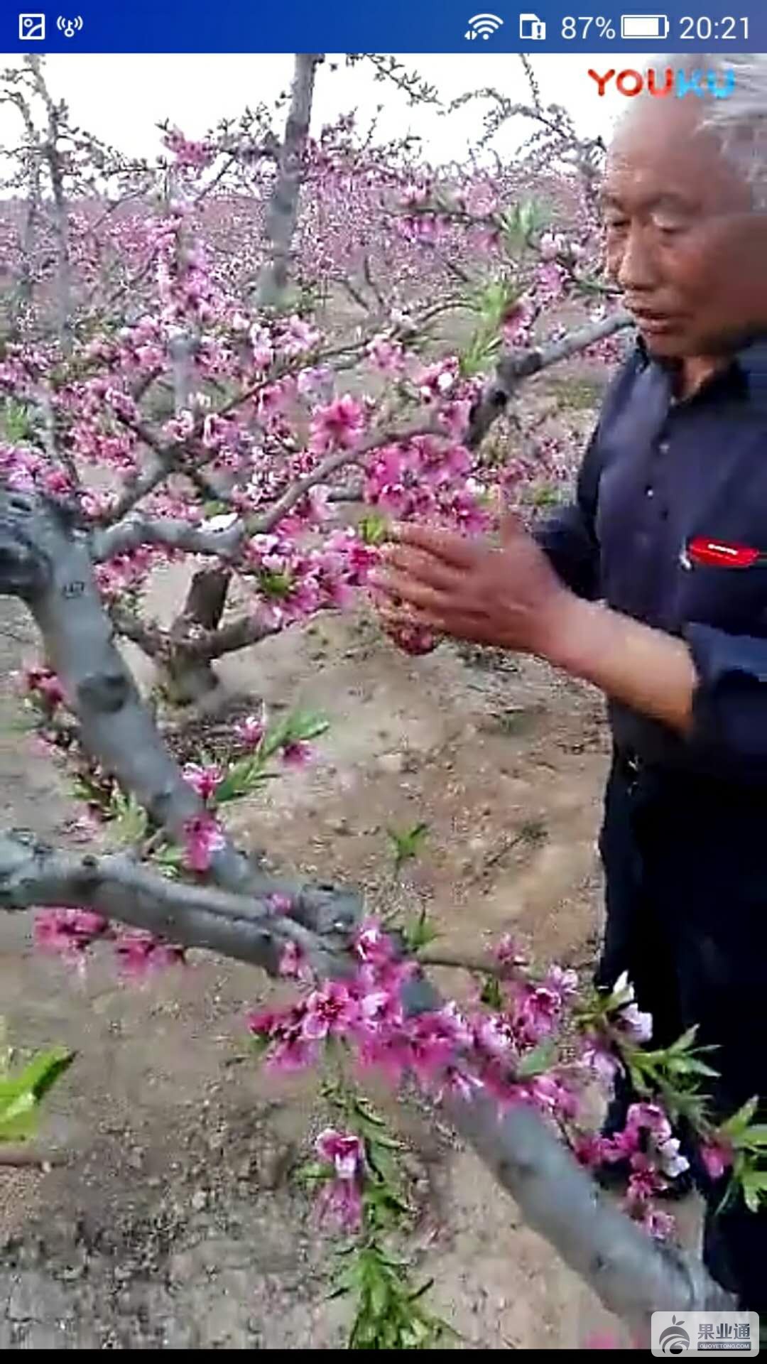 微信图片_20180630202705.jpg