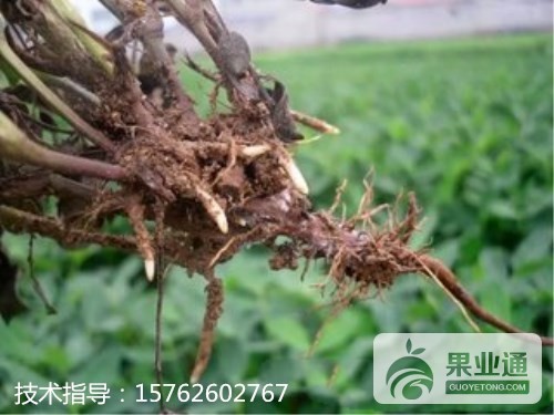 t01be3f704819580f6b_副本.jpg