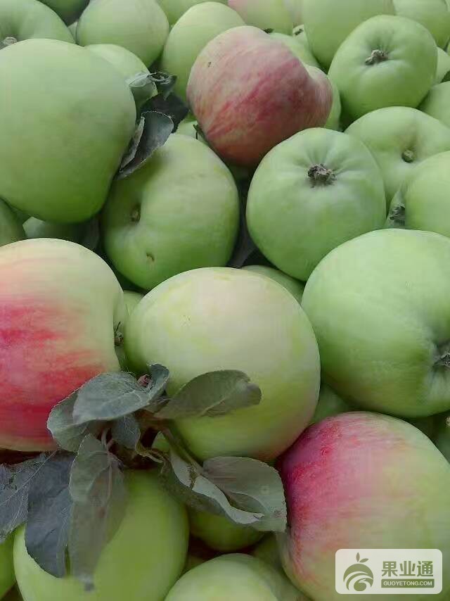 mmexport1498888065500.jpg