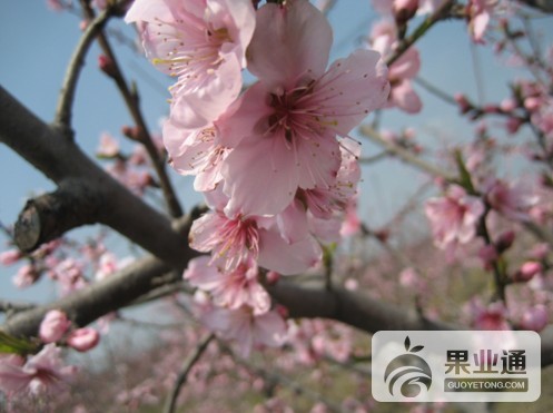 2011032813333006677.jpg