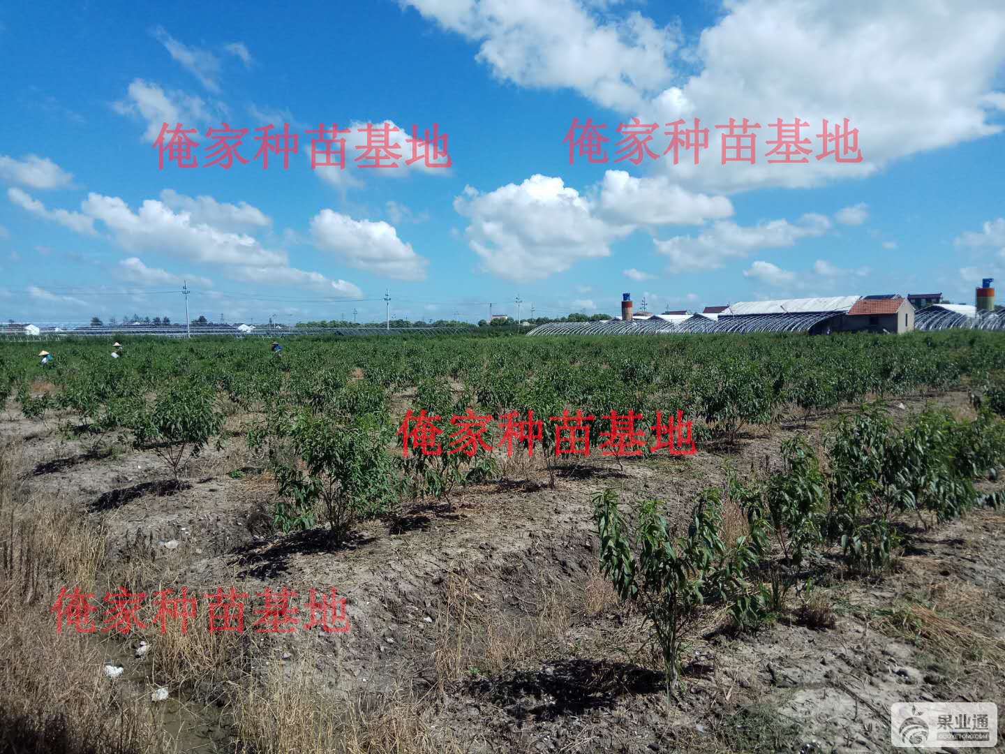 微信图片_20180716152542.jpg