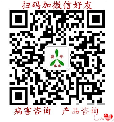微信图片_20180609115128_副本.jpg