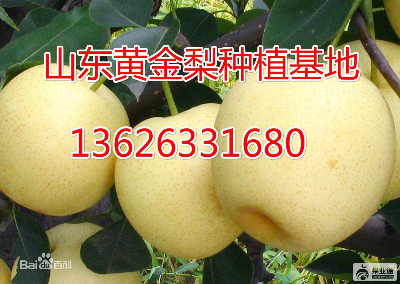 a8773912b31bb0516352ef72307adab44aede072_meitu_1.jpg