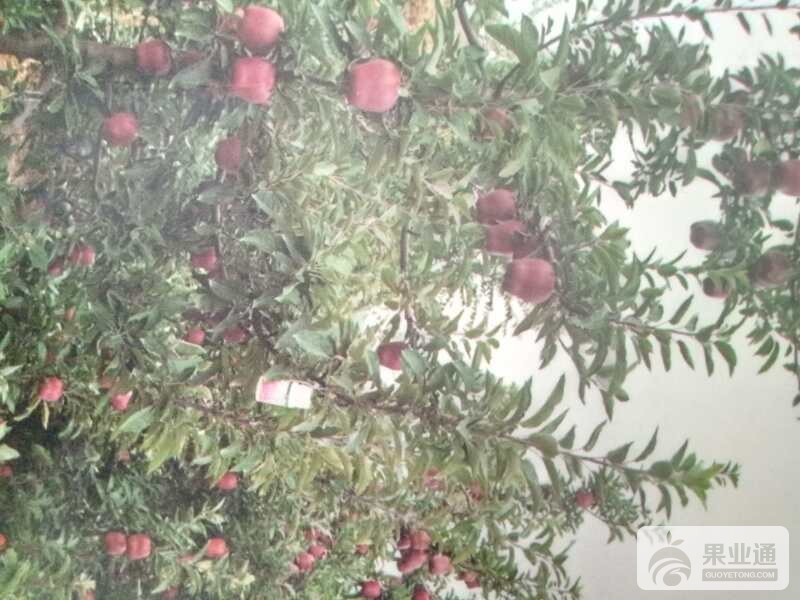微信图片_20180731162045.jpg