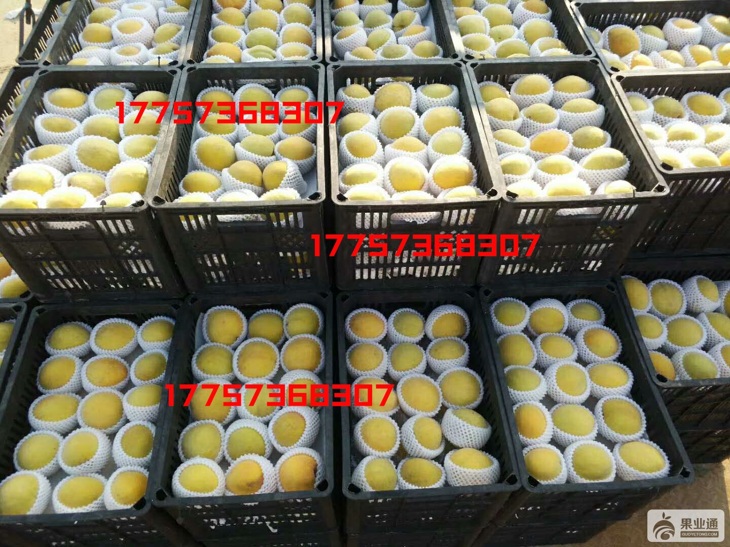 微信图片_20180808190204.jpg