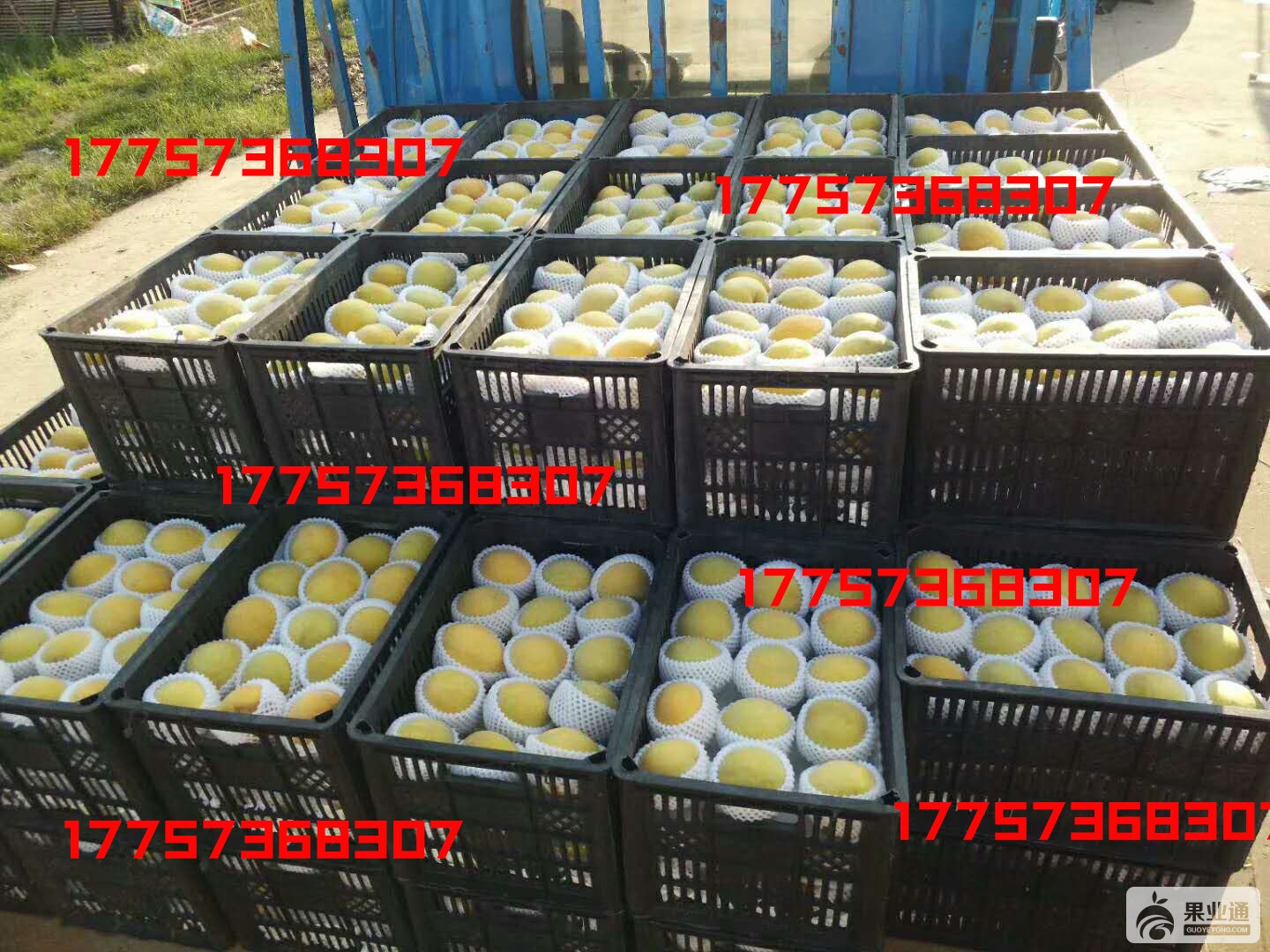 微信图片_20180808190222.jpg