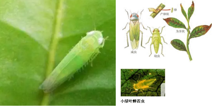 QQ截图20180820165112.png