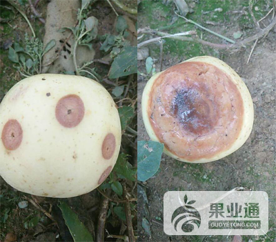 未标题-2.png