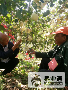 图片7.png