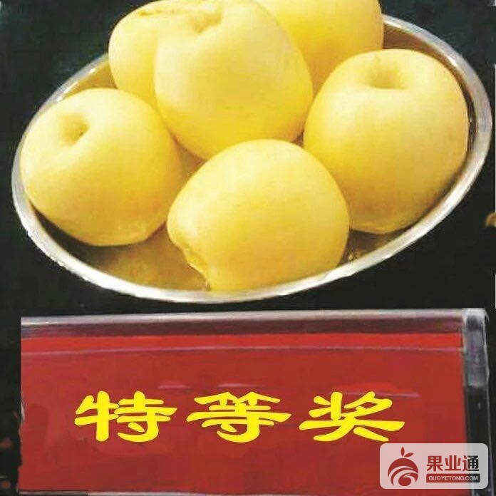 微信图片_20180614100951.jpg