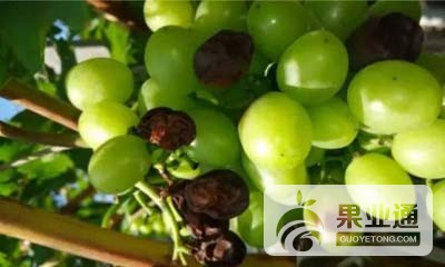 005HUu09zy7esOKXbIjaf&amp;690.jpg
