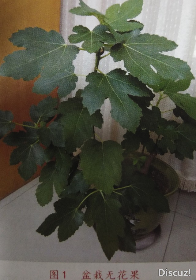 1542012613842.jpg