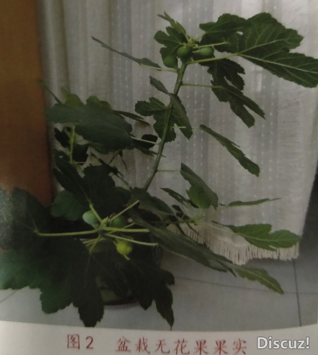 1542012633009.jpg