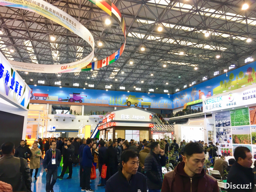 QQ截图20181118161913.png