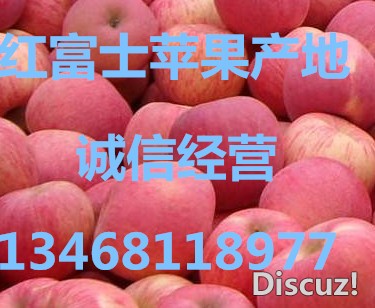 红富士苹果