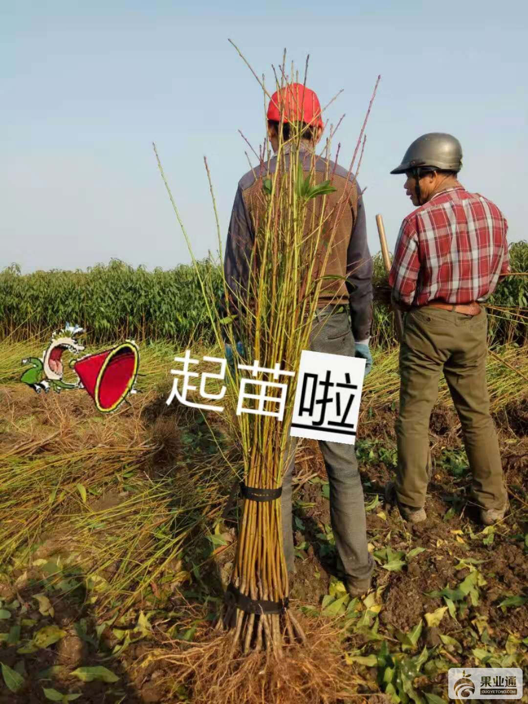 微信图片_20181201154330.jpg
