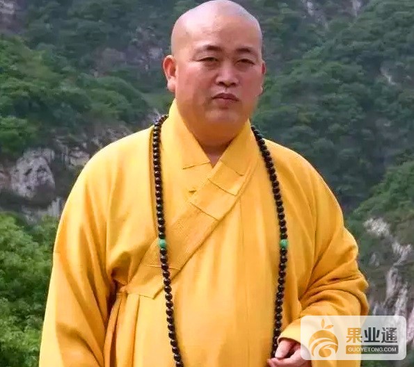 11-少林寺方丈释永信佩戴猴头核桃光珠项串.jpg