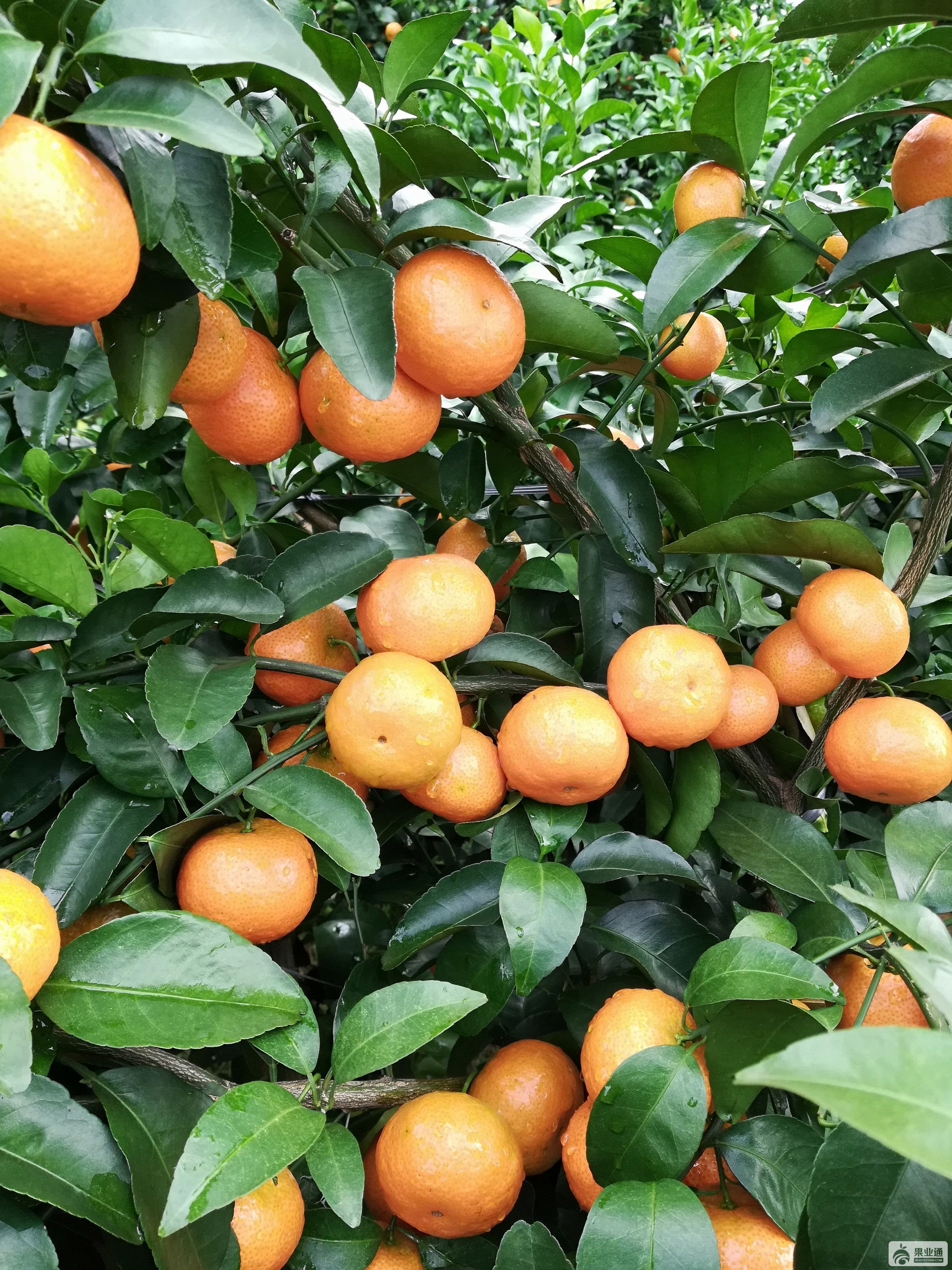 IMG_20181202_115259.jpg