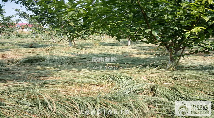 未标题-1.jpg
