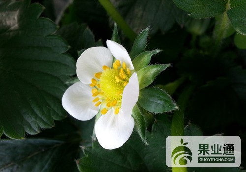 （11.01）水印1.jpg