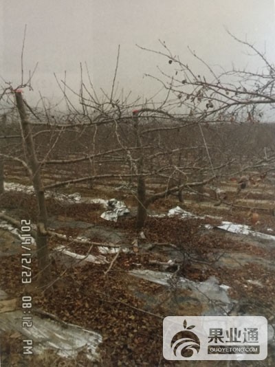 微信图片_20181220152957.jpg