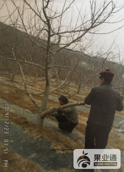 微信图片_20181220153008.jpg